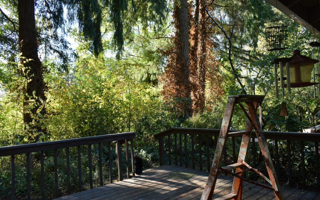 Deck build cost Calgary