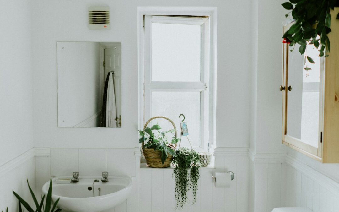 Shower Niche Ideas & Sizing Guide for Calgary Bathrooms