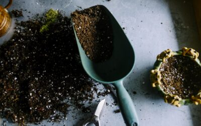 Sustainable Home Renovation Ideas for Calgary Homeowners